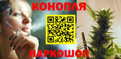 крисы Коммунар