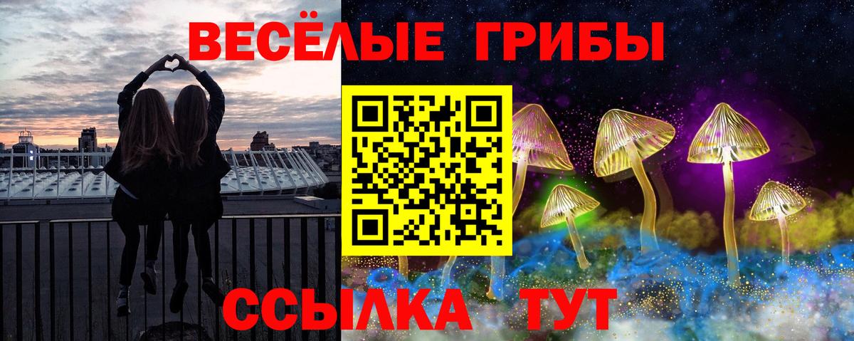 закладки  Галлюциногенные грибы прущие грибы  Вход с VPN  Ирбит 