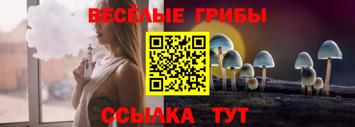 Галлюциногенные грибы GOLDEN TEACHER Ирбит